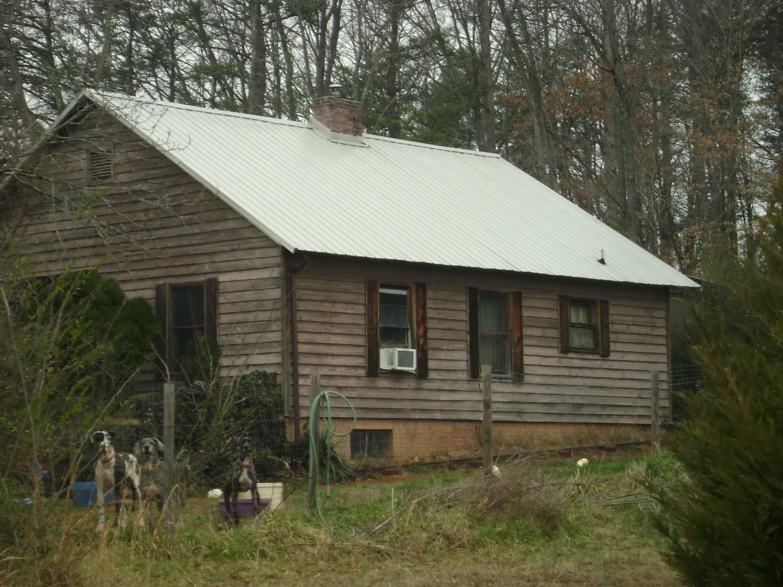 White metal roof on an old wood sided farmhouse, from a Asphalt Shingle Roof Repair job in Mc Kee